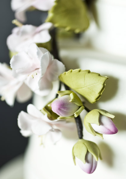 Luisa Galuppo Cakes